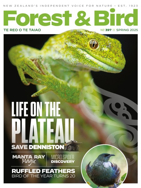 Spring 2025, Forest & Bird magazine