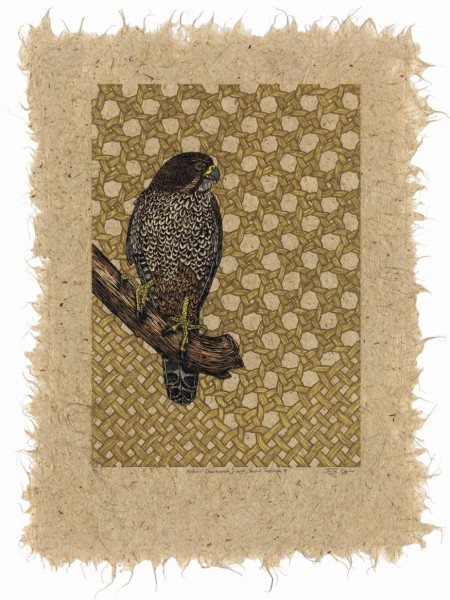 Kārearea NZ Falcon, Woodcut on NZ Flax Paper. Credit Jo Ogier