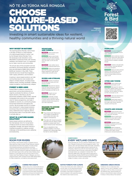 Nature-based solutions poster (portrait large)
