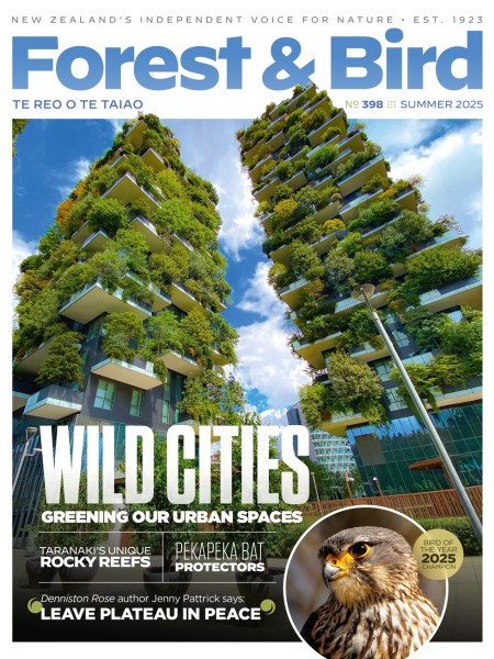 Summer 2025 Forest & Bird Magazine