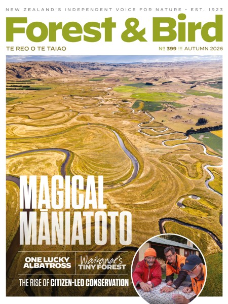Forest & Bird magazine, Autumn 2026, Issue 399
