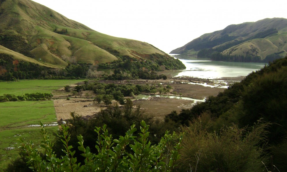 Paremata Flats reserve, Nelson