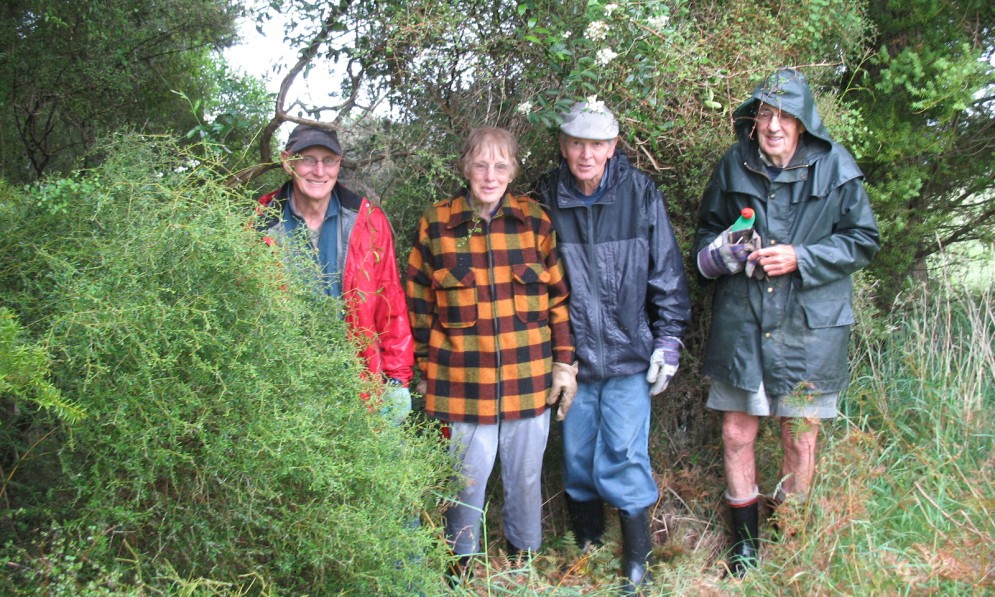 Conways Bush, Geraldine, Canterbury