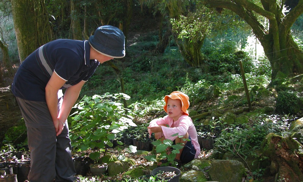 Young Forest and Bird members help with native tree planting.