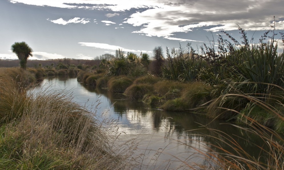 Harts Creek near Lake Ellesmere