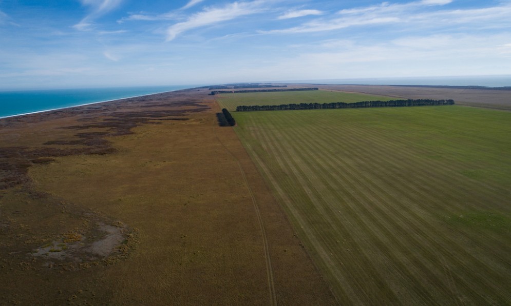 Aerial view of land where a farmer has removed an endangered plant species