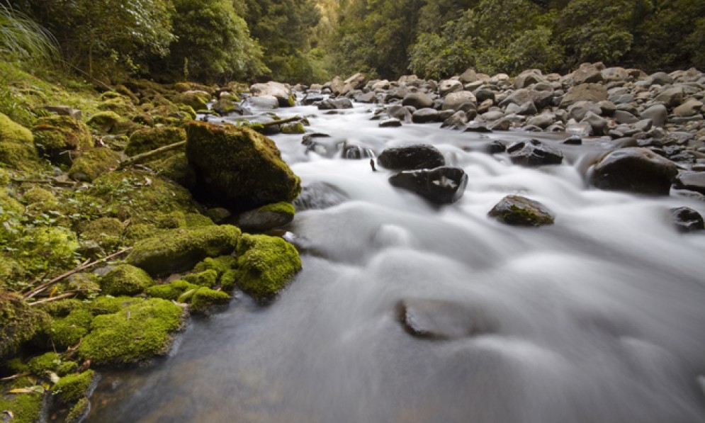 The Maunganuku River