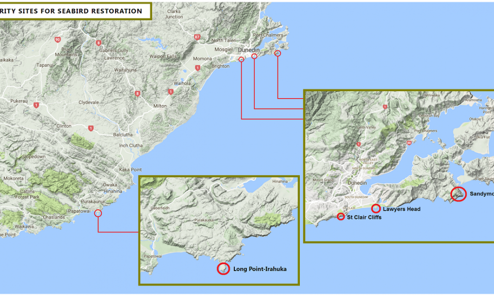 Priority sites for seabird restoration