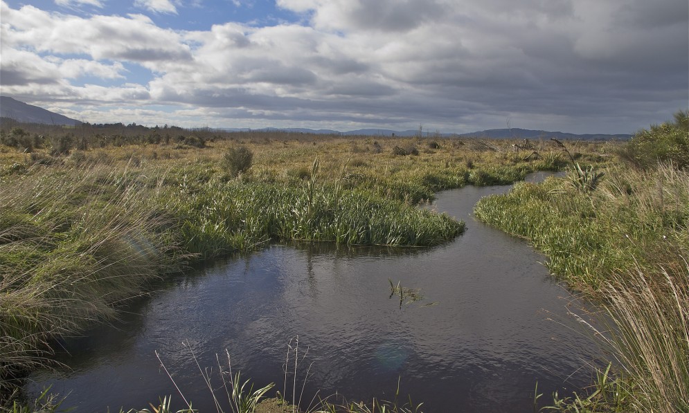 Sinclair Wetland