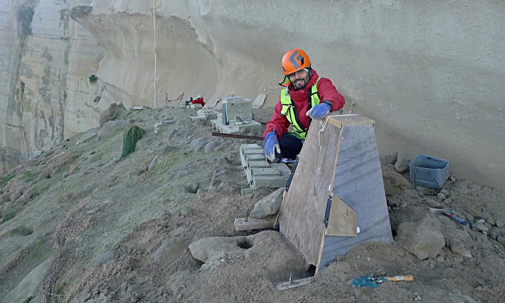 St Clair Cliffs nest box