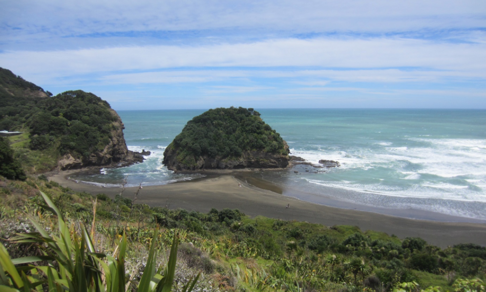 Te Henga beach