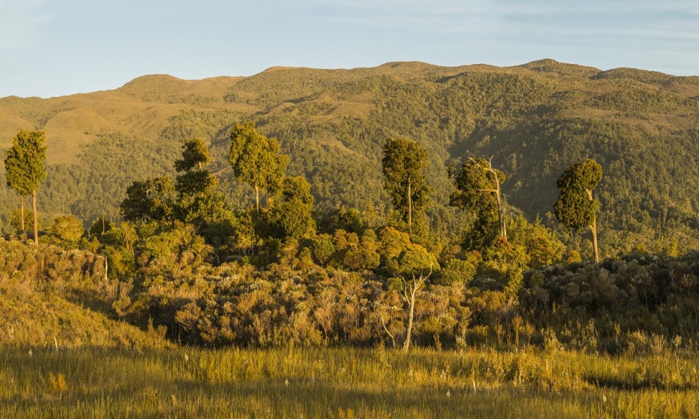 Te Kuha mine site