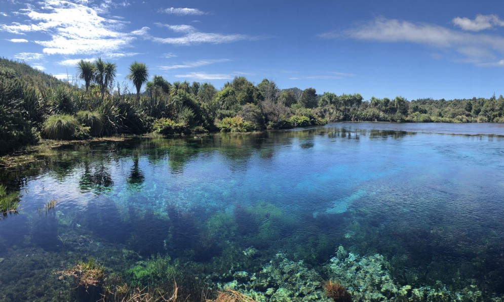 View of Te Waikoropupū Springs