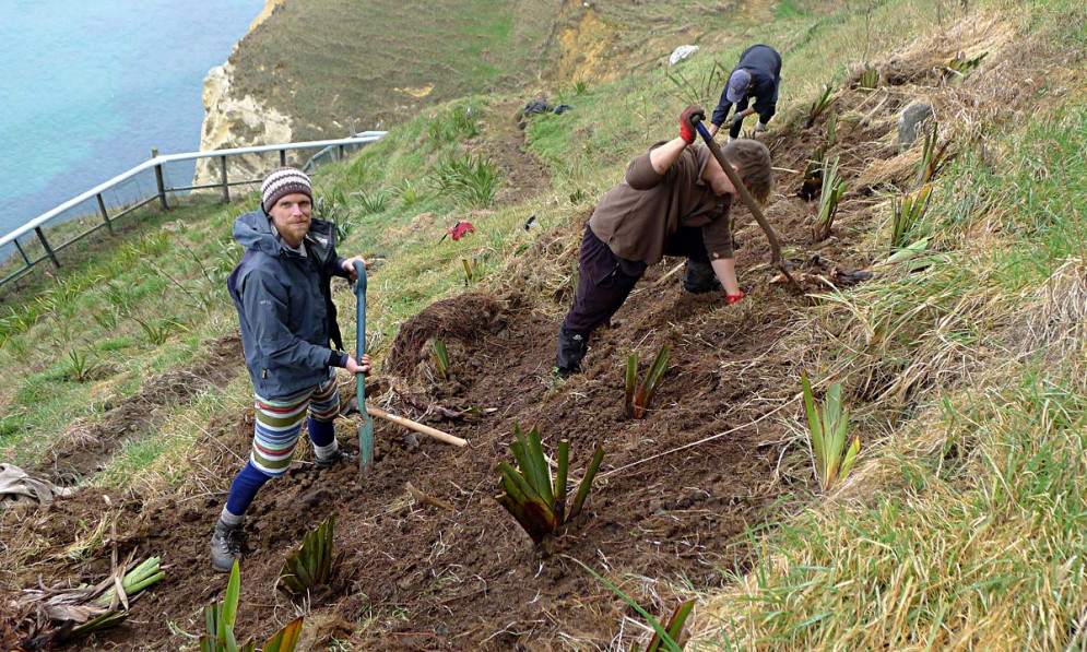 Volunteers at the prion fence