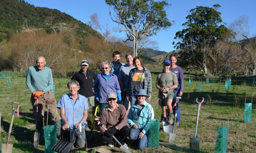 Forest and Bird planters at Paremata Reserve