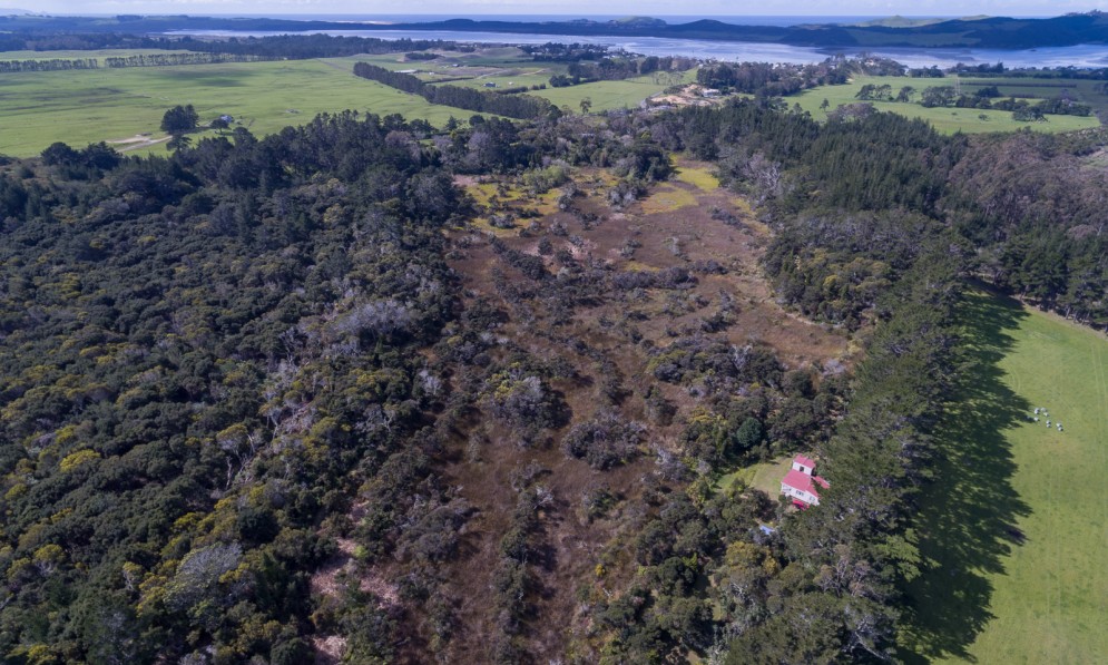 Arethusa Reserve from above