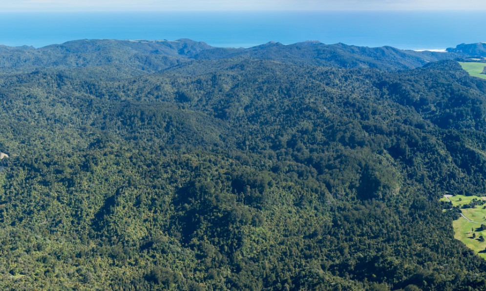 An aerial view of Ark in the Park