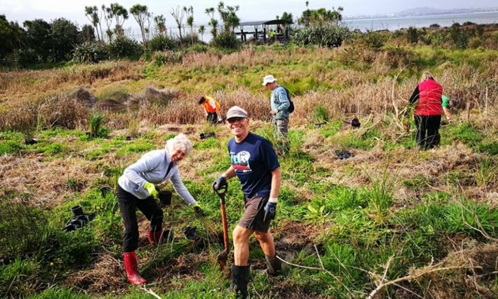 Weeding at Harbourview Fernbird Flats 