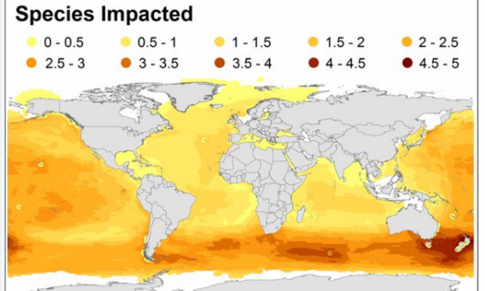 Map of seabird plastic impacts
