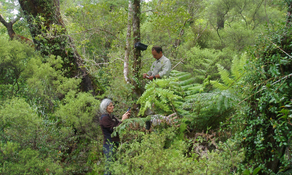 Dr Brian Lloyd and Debs Martin doing bat survey work.