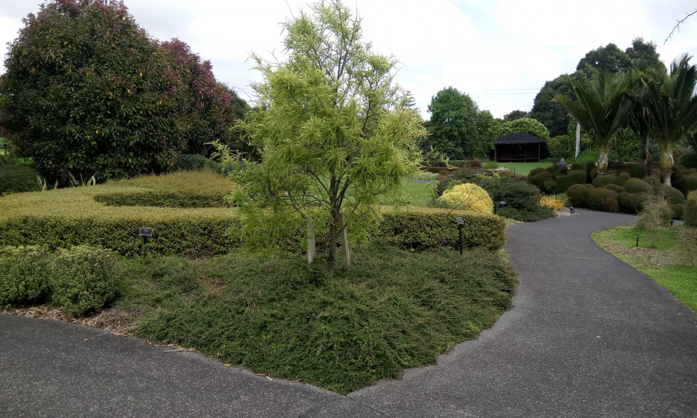 Image of Auckland Botanical Gardens