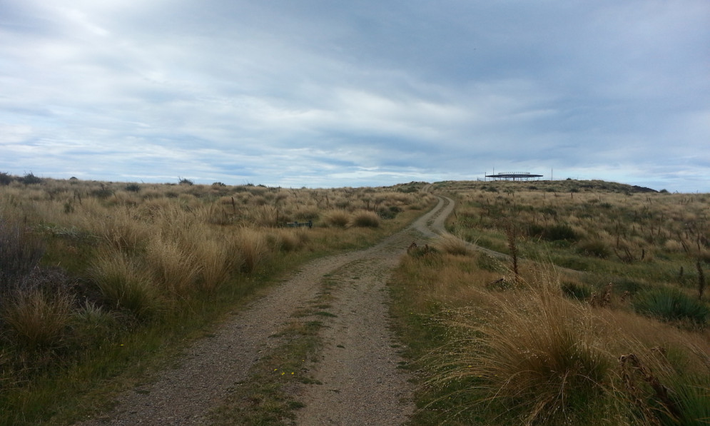 Road going through Swampy Summit