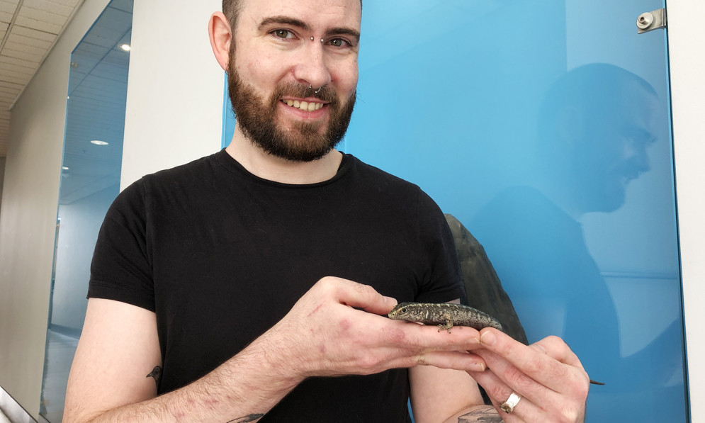 Jo Virens holds an Otago Skink