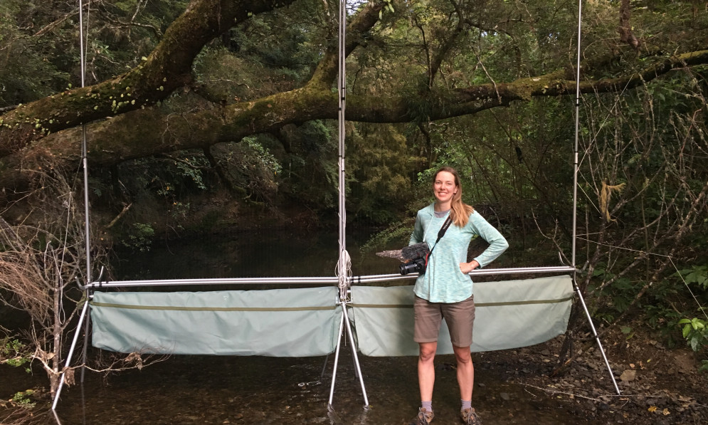 Laura Keown with two harp traps for bats at Brown River Reserve