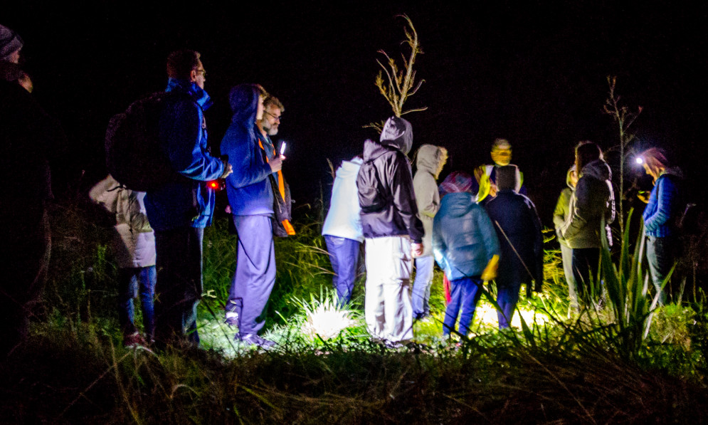 People standing in the dark looking at bugs