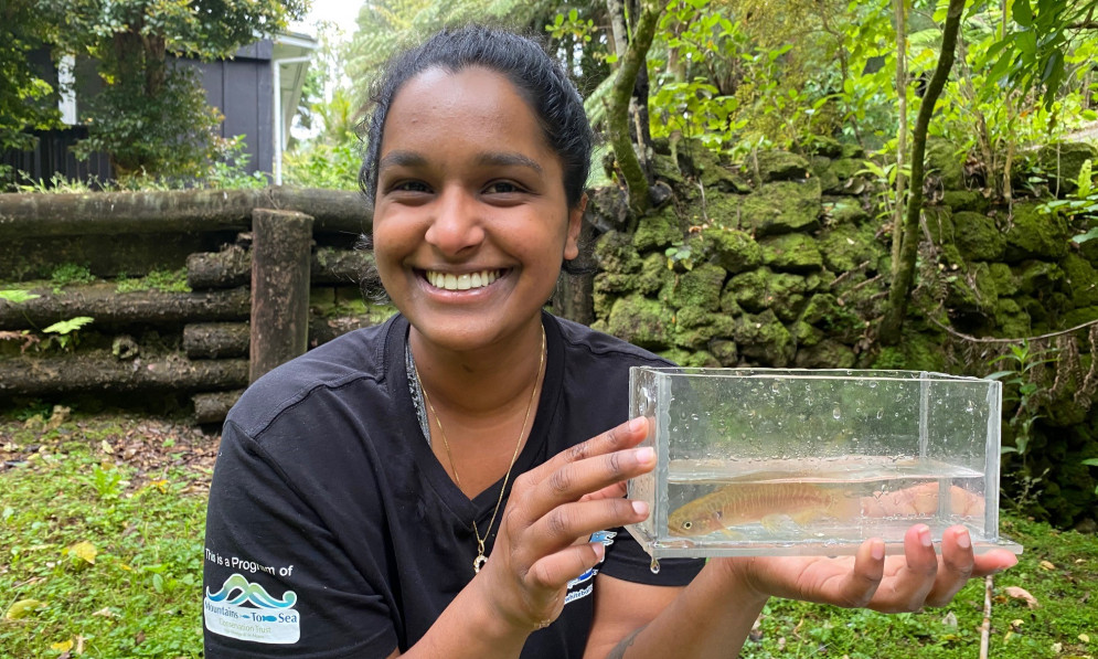 Kimberley D'Souza - Whitebait connection