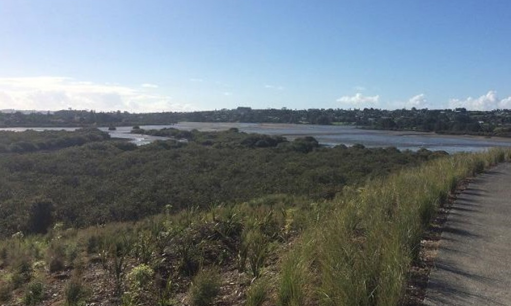 Orewa Estuary