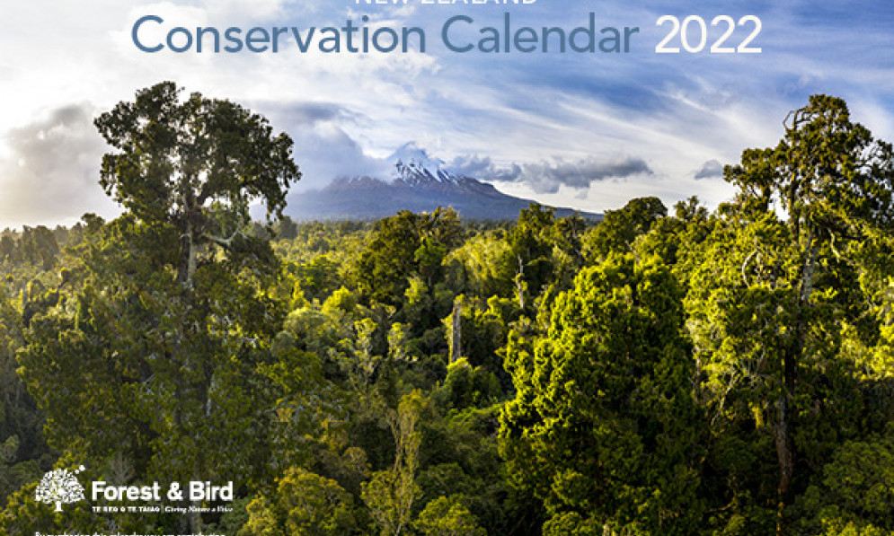 Conservation Calendars and Diaries Forest and Bird