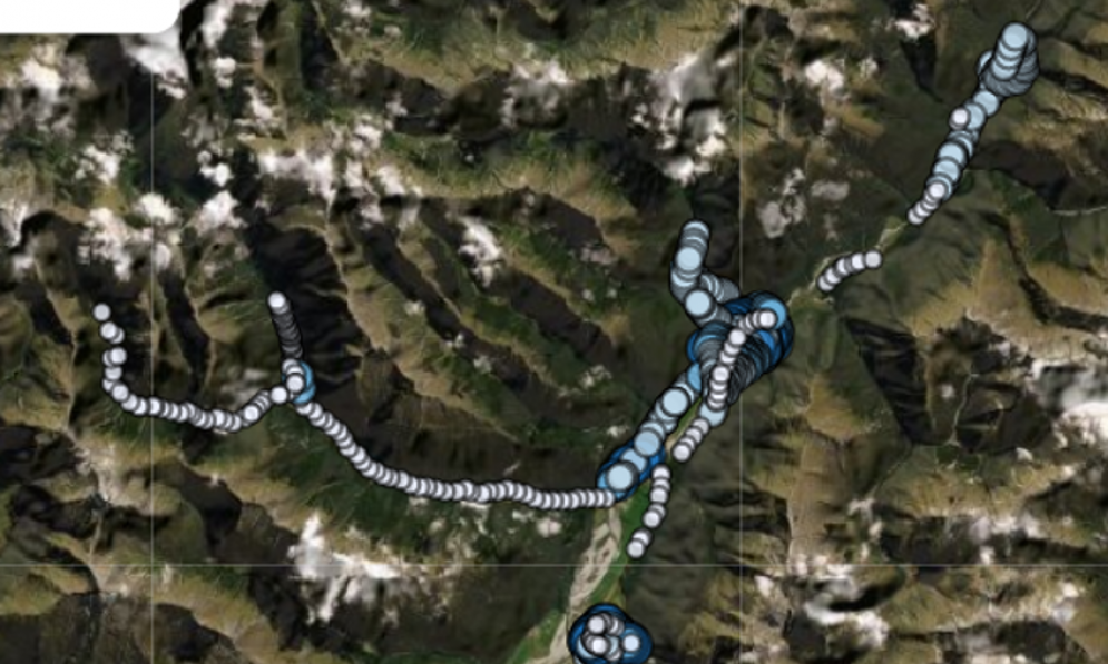 Forest & Bird and DoC trap distribution at Makarora (Graphic by CatchIT)