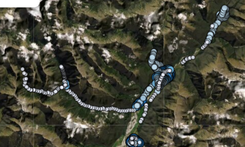 Forest & Bird and DoC trap distribution at Makarora                                                                (Graphic by CatchIT)