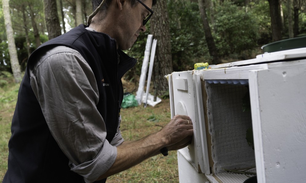 Kevin Parker, translocation specialist preparing the translocation boxes_credit Forest & Bird