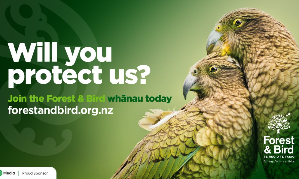 Green kea fundraising graphic with text asking "Will you you protect us?"