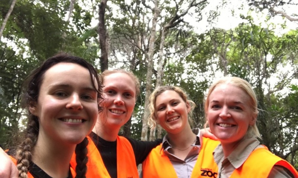 Four Auckland Zoo staff doing kokako sensus