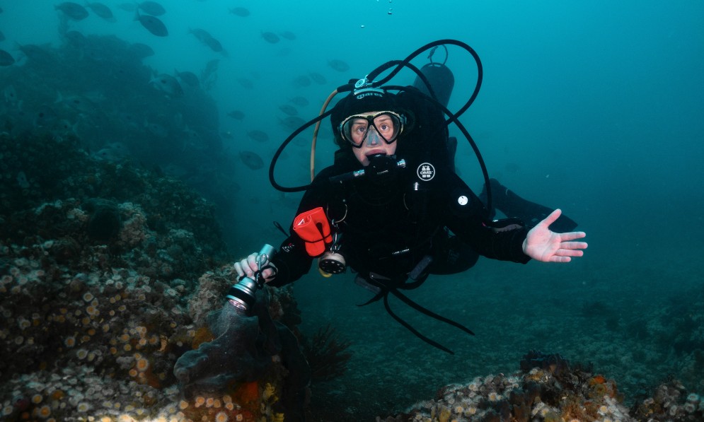 Francesca Strano floats above the mesophotic reef and sponge gardens at Ohau Point, which were discovered by chance in August 2021. Credit Valerio Micaroni