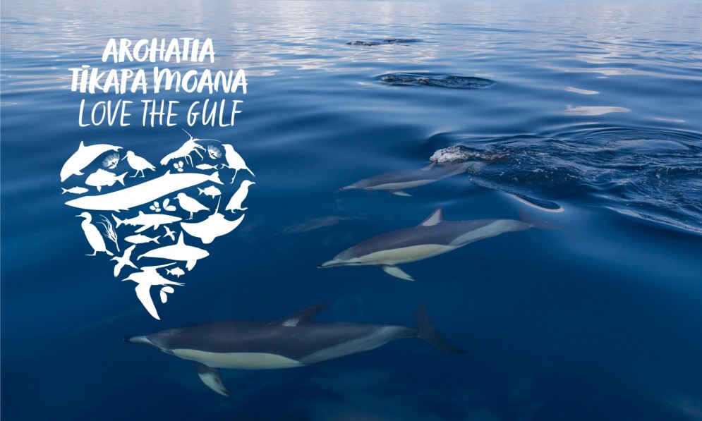 Dolphins swimming under the sea surface with a logo that reads Arohatia Tīkapa Moana | Love the Gulf