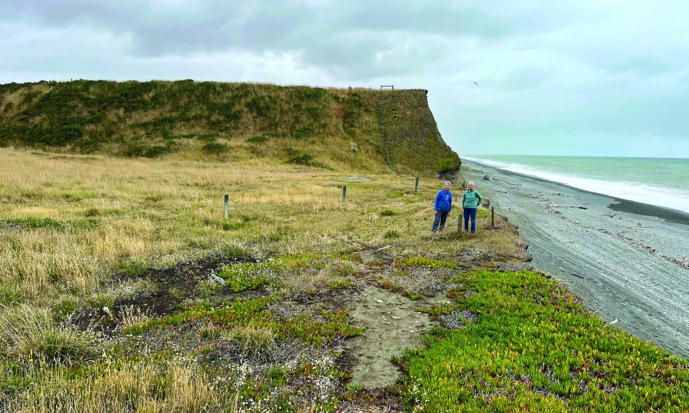 Val Clemens (left) and Edith Smith near the site of the last two naturally occurring Craspedia plants at Wakanui, Canterbury. Image Peter Smith