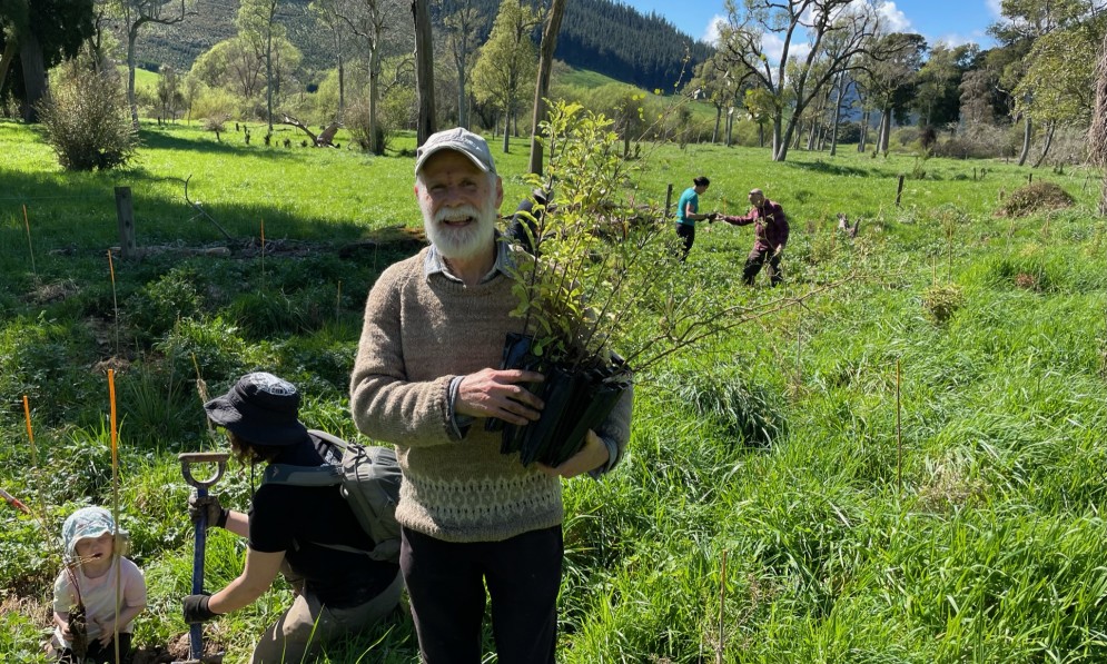Volunteer (Budyong) holding a planting during the 2022 Ronga planting day