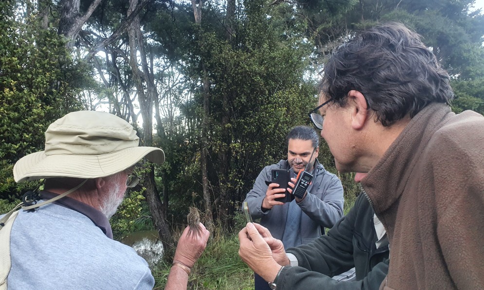 Three people taking pictures of a bird in the hand