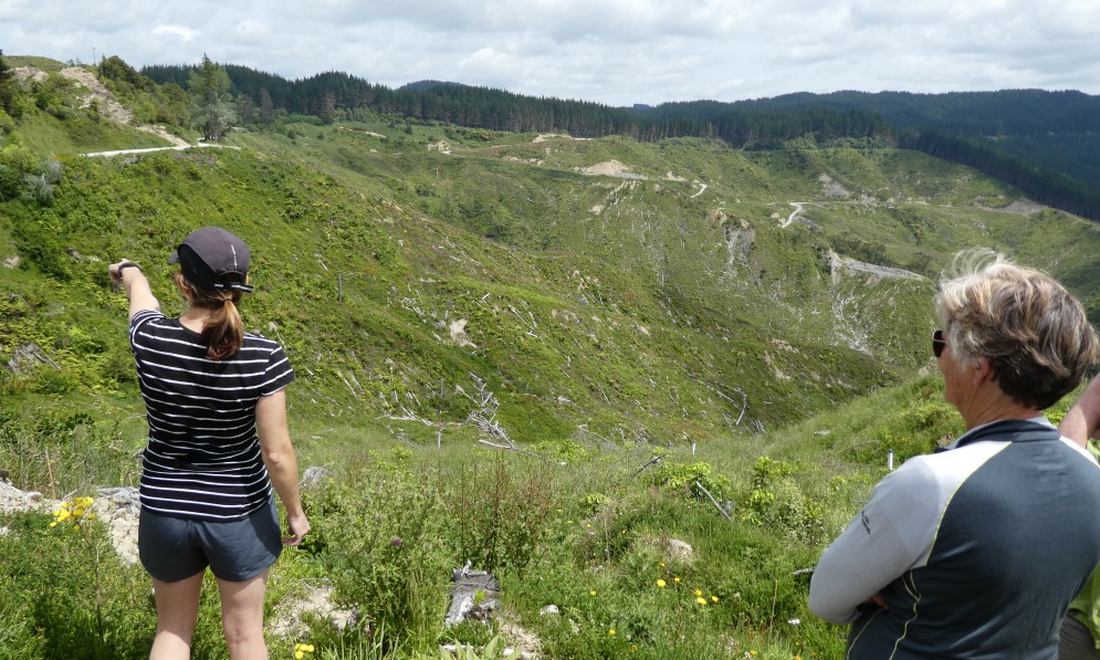 Papamoa Forest, Gisborne, is being restored with native planting, while controlling goats, deer, and possums has allowed natural bush regrowth. Image Barry Foster