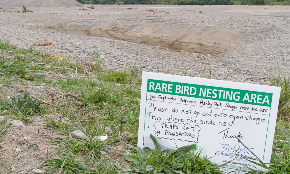 Area impacted by off-roaders, Ashley River and Estuary. Image Grant Davey