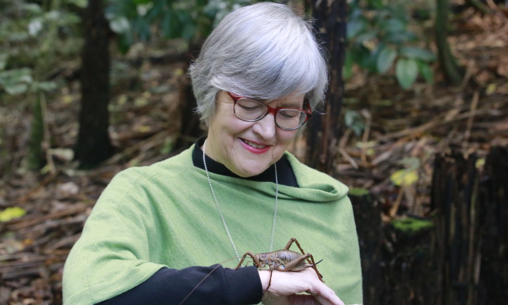 Eugenie Sage with a wetāpunga at Auckland Zoo. Image supplied