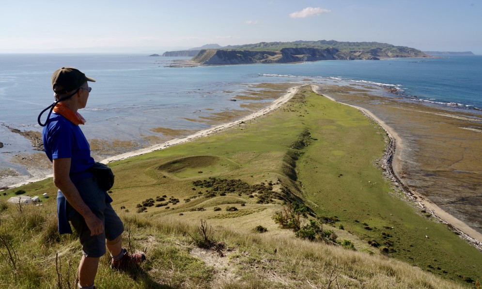 Volunteer Kay Clapperton surveys prime shore plover habitat on Waikawa Portland Island, with Mahia Peninsula in background. Credit Peter Lo