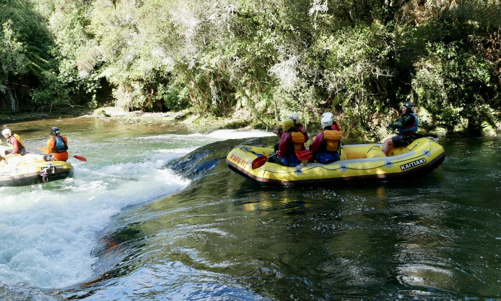 Kaituna River. Image Caroline Wood