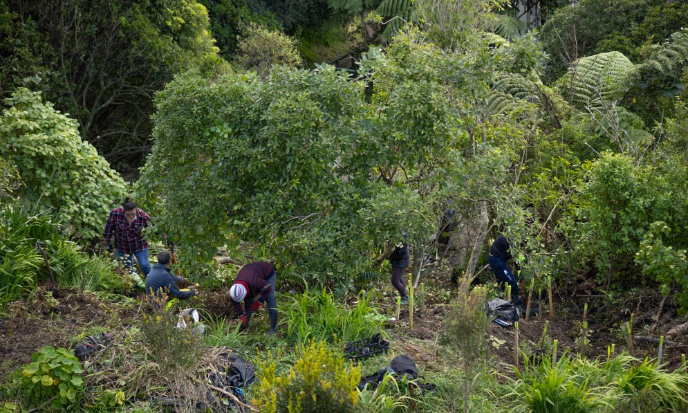 Volunteers at a community working bee