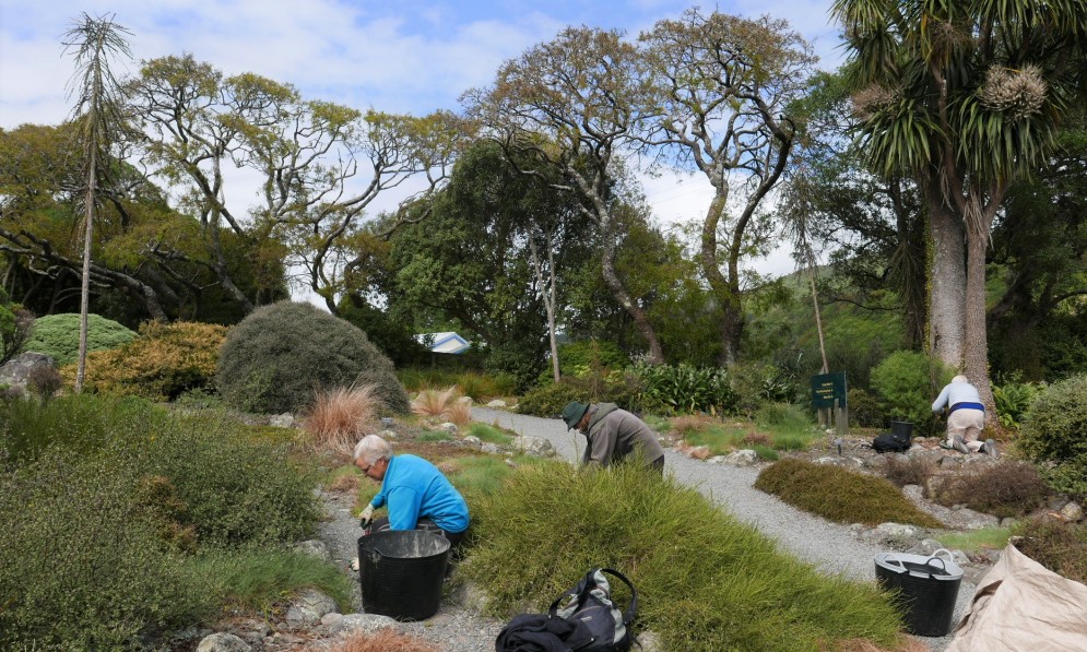 Volunteer gardeners. Image Kathy Ombler
