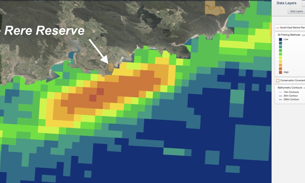 Graphic showing trawling intensity around Te Rere (red = highest intensity). Image supplied